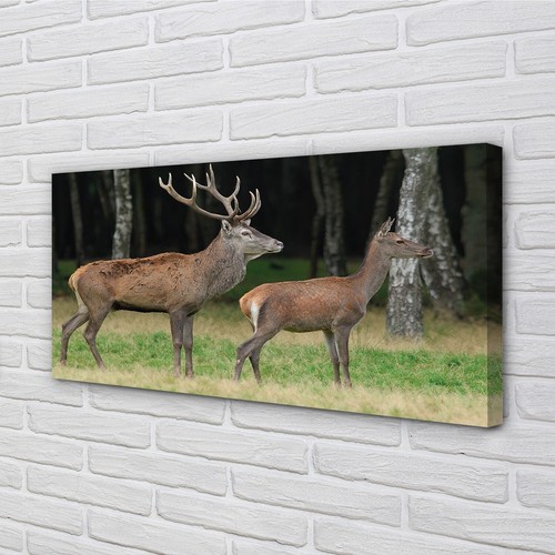 Quadro tela tulup - quadro, 140x70